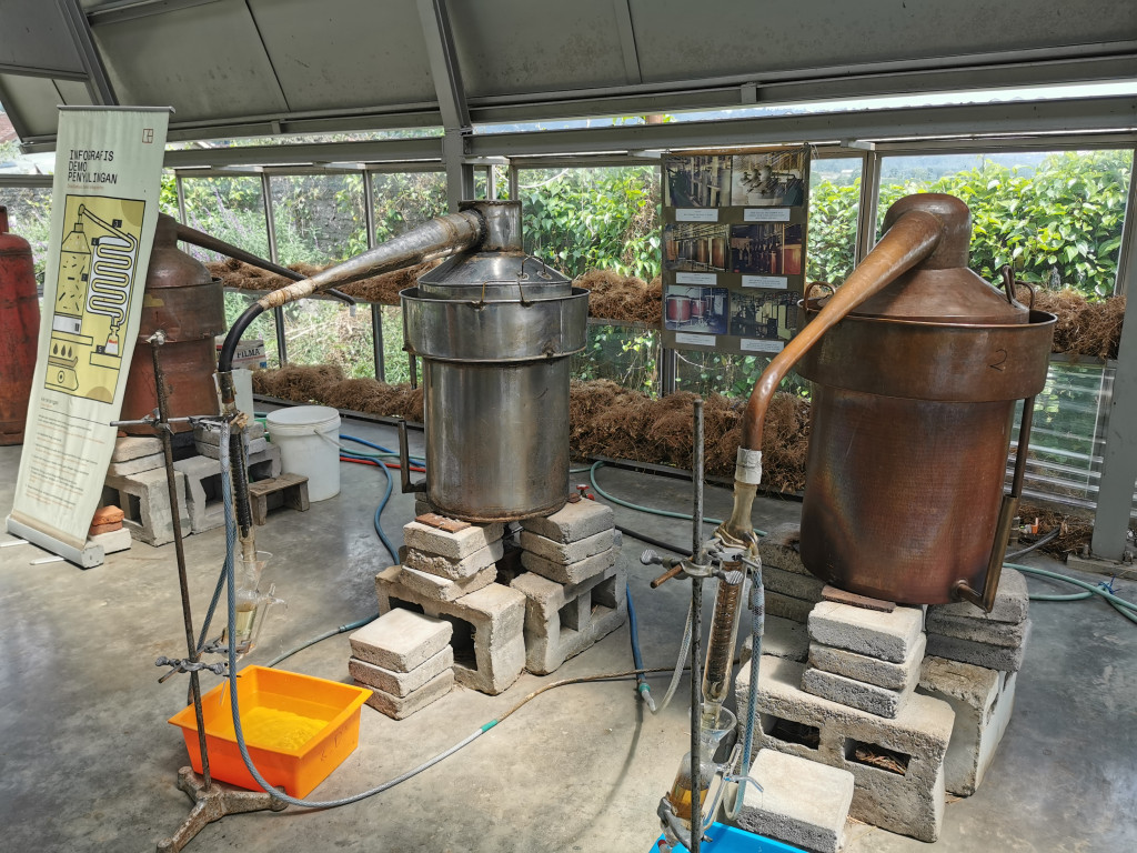 Essential oil distillation in Tawangmangu, Central Java